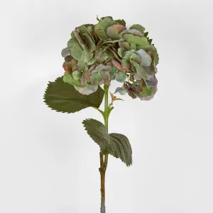 Hydrangea Large Stem With Leaves 75Cm by Florabelle Living, a Plants for sale on Style Sourcebook