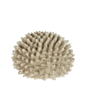 Rustic Urchin Flower by Florabelle Living, a Statues & Ornaments for sale on Style Sourcebook