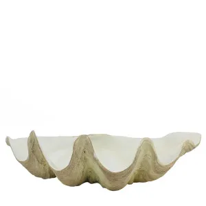 Baga Clam Shell White by Florabelle Living, a Statues & Ornaments for sale on Style Sourcebook