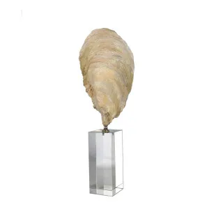 Oyster Polyresin Sculpture Large by Florabelle Living, a Statues & Ornaments for sale on Style Sourcebook