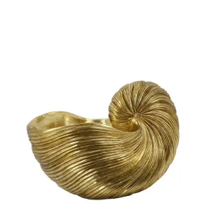 Conch Sculpture Gold by Florabelle Living, a Statues & Ornaments for sale on Style Sourcebook