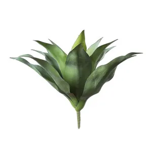 Agave 30Cm by Florabelle Living, a Plants for sale on Style Sourcebook