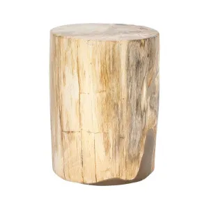 Binga Petrified Wood Table Natural by Florabelle Living, a Coffee Table for sale on Style Sourcebook