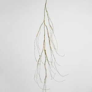 Twig Vine 135Cm Dry Natural by Florabelle Living, a Plants for sale on Style Sourcebook