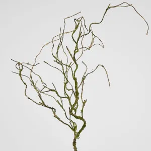 Twig Vine 109Cm Dry Natural by Florabelle Living, a Plants for sale on Style Sourcebook