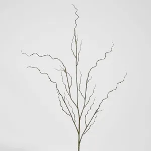 Curly Twig by Florabelle Living, a Plants for sale on Style Sourcebook