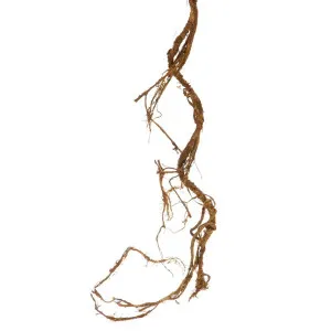 Twig Vine Garland 95Cm Brown by Florabelle Living, a Plants for sale on Style Sourcebook