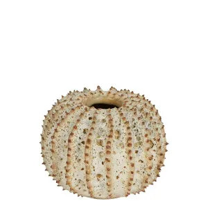 Spiked Cactus Ceramic Moss Vase Natural by Florabelle Living, a Vases & Jars for sale on Style Sourcebook