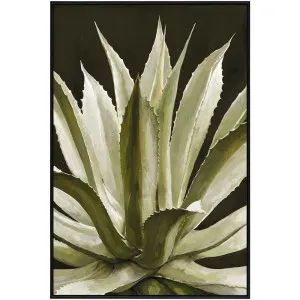 Agave Wall Art by Florabelle Living, a Prints for sale on Style Sourcebook