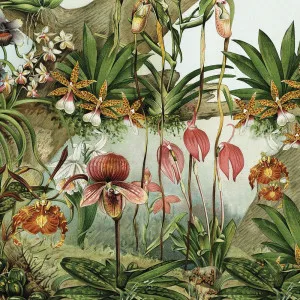 Tropical Sunrise Wallpaper by Florabelle Living, a Wallpaper for sale on Style Sourcebook