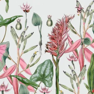 Pinkie Wallpaper by Florabelle Living, a Wallpaper for sale on Style Sourcebook