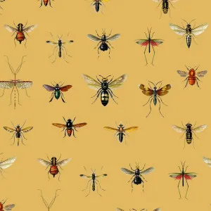 Entomology Wallpaper by Florabelle Living, a Wallpaper for sale on Style Sourcebook