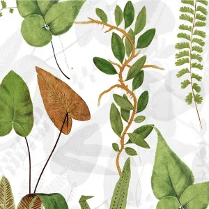 Shes A Botanist Wallpaper by Florabelle Living, a Wallpaper for sale on Style Sourcebook