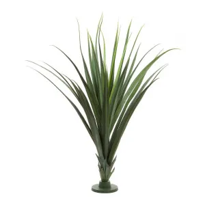 Pandanus Head Large 1.4M by Florabelle Living, a Plants for sale on Style Sourcebook