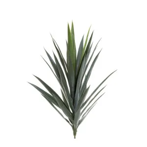 Yucca Head Green 78Cm by Florabelle Living, a Plants for sale on Style Sourcebook