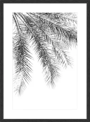 PALM GRACE NOIR by La Grolla, a Prints for sale on Style Sourcebook