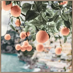 Peachy Dreams Canvas Art Print by Urban Road, a Prints for sale on Style Sourcebook