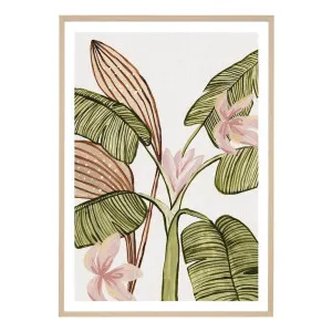 Tropical Blooms 1 Framed Print in 45 x 62cm by OzDesignFurniture, a Prints for sale on Style Sourcebook