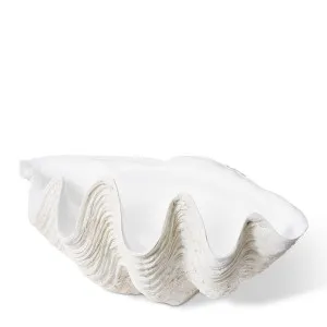 Clam Shell X-Lg Sculpture - 85 x 56 x 41cm by Elme Living, a Statues & Ornaments for sale on Style Sourcebook