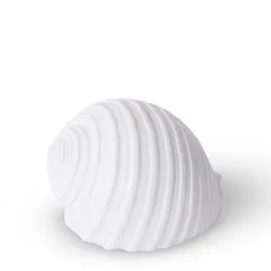 Shell Moon Snail - 11 x 9 x 8cm by Elme Living, a Statues & Ornaments for sale on Style Sourcebook