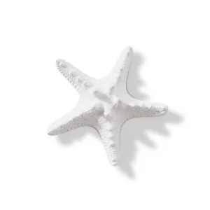 Starfish Knobbed - 9 x 9 x 3cm by Elme Living, a Statues & Ornaments for sale on Style Sourcebook