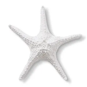 Starfish Bat Star - 32 x 32 x 7cm by Elme Living, a Statues & Ornaments for sale on Style Sourcebook