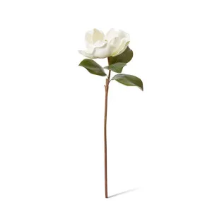 Magnolia Grand Stem - 22 x 28 x 71cm by Elme Living, a Plants for sale on Style Sourcebook