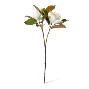 Magnolia Classic Flower & Bud - 33 x 39 x 74cm by Elme Living, a Plants for sale on Style Sourcebook