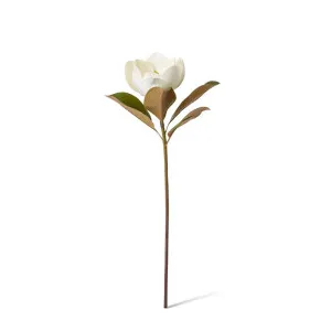 Magnolia Flower Classic Stem - 19 x 26 x 60cm by Elme Living, a Plants for sale on Style Sourcebook