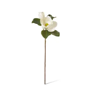 Magnolia Classic Flower Spray - 26 x 30 x 69cm by Elme Living, a Plants for sale on Style Sourcebook