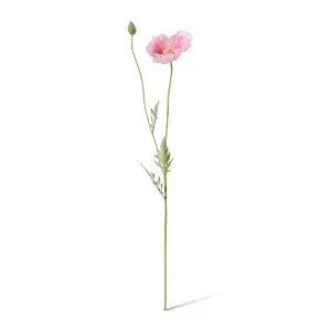 Poppy Spray - 12 x 7 x 61cm by Elme Living, a Plants for sale on Style Sourcebook