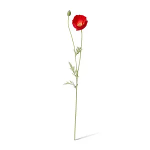 Poppy Spray - 12 x 7 x 61cm by Elme Living, a Plants for sale on Style Sourcebook