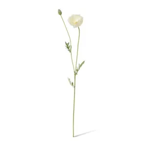 Poppy Spray - 12 x 7 x 61cm by Elme Living, a Plants for sale on Style Sourcebook