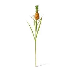 Pineapple Stem - 8 x 8 x 60cm by Elme Living, a Plants for sale on Style Sourcebook