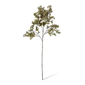 Pepper Berry Spray - 45 x 24 x 110cm by Elme Living, a Plants for sale on Style Sourcebook