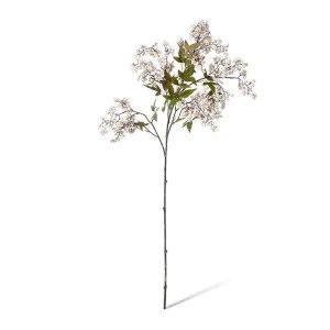 Pepper Berry Spray - 45 x 24 x 110cm by Elme Living, a Plants for sale on Style Sourcebook