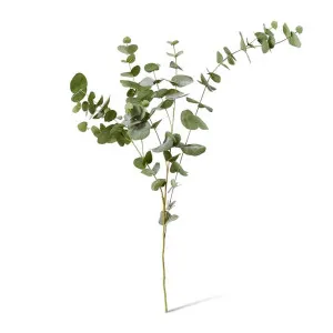 Eucalyptus Leaf Spray - 48 x 26 x 119cm by Elme Living, a Plants for sale on Style Sourcebook