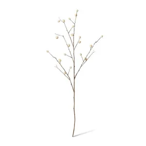 Berry Pod Dried Look Branch - 20 x 8 x 108cm by Elme Living, a Plants for sale on Style Sourcebook