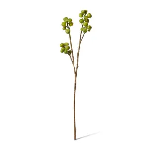 Fig Branch - 28 x 16 x 96cm by Elme Living, a Plants for sale on Style Sourcebook