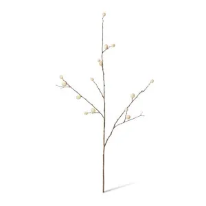 Berry Pod Dried Look Branch - 16 x 8 x 85cm by Elme Living, a Plants for sale on Style Sourcebook