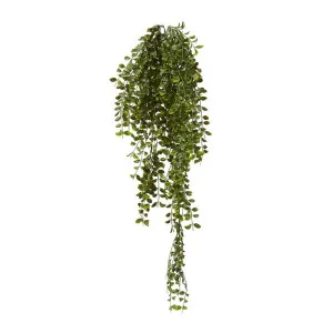 Ruscus Hanging Bush (Outdoor) - 30 x 22 x 86cm by Elme Living, a Plants for sale on Style Sourcebook