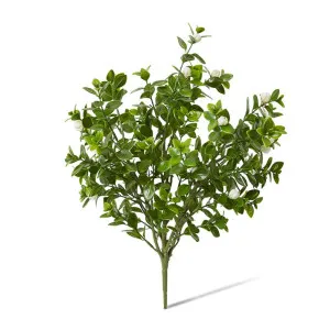 Jasmin Budding Bush (Outdoor) - 28 x 28 x 44cm by Elme Living, a Plants for sale on Style Sourcebook