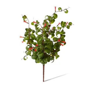 Indian Hoya Bush - 30 x 30 x 47cm by Elme Living, a Plants for sale on Style Sourcebook