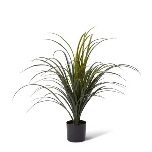 Yucca Plant Potted (Outdoor) - 60 x 60 x 65cm by Elme Living, a Plants for sale on Style Sourcebook