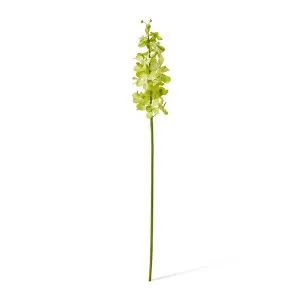 Orchid Vanda Stem - 9 x 10 x 69cm by Elme Living, a Plants for sale on Style Sourcebook