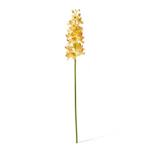 Orchid Vanda Stem - 9 x 10 x 69cm by Elme Living, a Plants for sale on Style Sourcebook