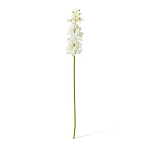 Orchid Vanda Stem - 9 x 10 x 69cm by Elme Living, a Plants for sale on Style Sourcebook