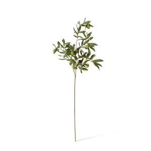 Olive Rocca Spray - 28 x 35 x 97cm by Elme Living, a Plants for sale on Style Sourcebook