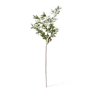 Olive Rocca Spray - 32 x 44 x 117cm by Elme Living, a Plants for sale on Style Sourcebook