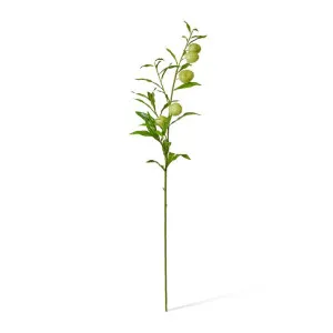 Milk Weed Leaf Stem - 22 x 26 x 114cm by Elme Living, a Plants for sale on Style Sourcebook